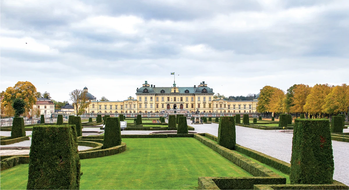 Ekolodzy z Australii i Szwecji mają propozycję, która może uszczęśliwić wielu panów, zmagających się z zielenią, a szczególnie zmuszonych do regularnego koszenia trawnika. Sugerują, że w dobrze pojętym interesie naturalnego środowiska, powinniśmy zapomnieć o trawnikach i pozwolić im zamienić się w bardziej naturalne łąki. Maria Ignatieva z University of Western Australia w Perth i Marcus Hedblom z Swedish University of Agricultural Sciences w Uppsali przekonują na łamach czasopisma "Science", że pielęgnowanie trawnika przynosi środowisku więcej szkody niż pożytku.