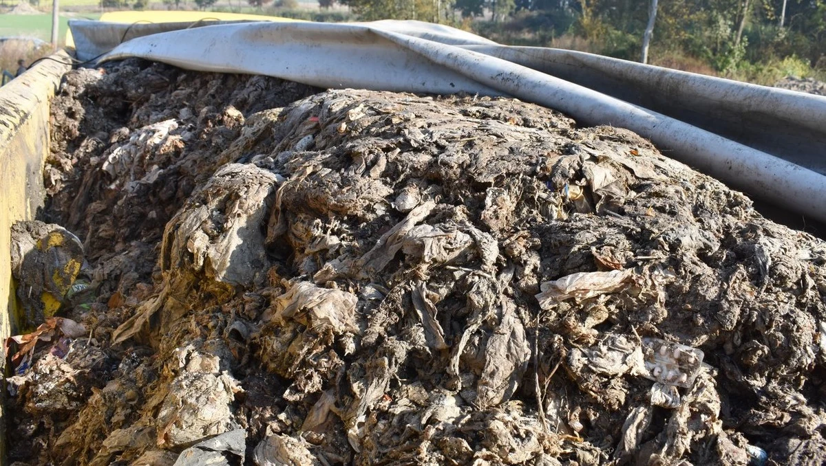 Trzech mężczyzn podejrzanych o nielegalne przewożenie i składowanie odpadów zatrzymali policjanci z Pułtuska na Mazowszu. Według śledczych odpady składowane w dawnym zabytkowym dworskim parku w gminie Gzy mogą zagrażać zdrowiu, a nawet życiu okolicznych mieszkańców. 