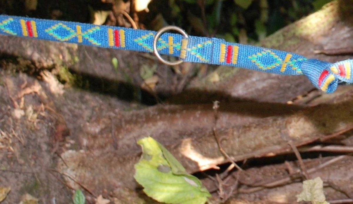 Policjanci szukają świadków lub osób mogących mieć wiedzę na temat psa powieszonego na drzewie w pobliżu ul. Bartniczej w Gdańsku. Publikują zdjęcie smyczy. Jest na tyle charakterystyczna, że może ktoś ją rozpozna i wskaże właściciela zwierzęcia. 