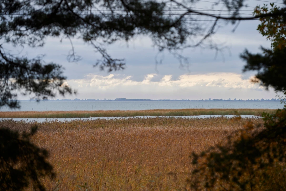 Dziś na Mierzei Wiślanej, między innymi z udziałem Jarosława Kaczyńskiego, ministra gospodarki morskiej i żeglugi śródlądowej Marka Gróbarczyka, symboliczne rozpoczęcie kontrowersyjnej inwestycji. Chodzi o przekop Mierzei, który jest jedną ze sztandarowych obietnic rządów Zjednoczonej Prawicy. W Nowym Świecie koło Kątów Rybackich zostanie symboliczna wbita pierwsza łopata pod budowę kanału żeglugowego między Zatoką Gdańską a Zalewem Wiślanym.