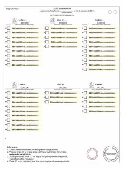/Państwowa Komisja Wyborcza /Zrzut ekranu