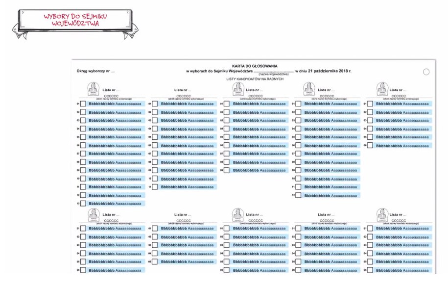 /Państwowa Komisja Wyborcza /Zrzut ekranu