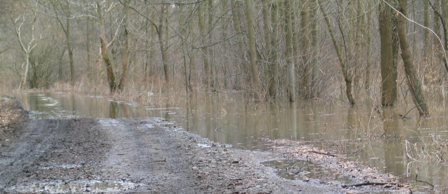 Na karę 15 lat pozbawienia wolności skazał Sąd Okręgowy w Olsztynie 26-letniego mężczyznę za zabójstwo swojej dziewczyny. Zadał 19-latce kilkadziesiąt ciosów i uderzeń kijem, po tym jak obydwoje zażyli dopalacze. Wyrok nie jest prawomocny.