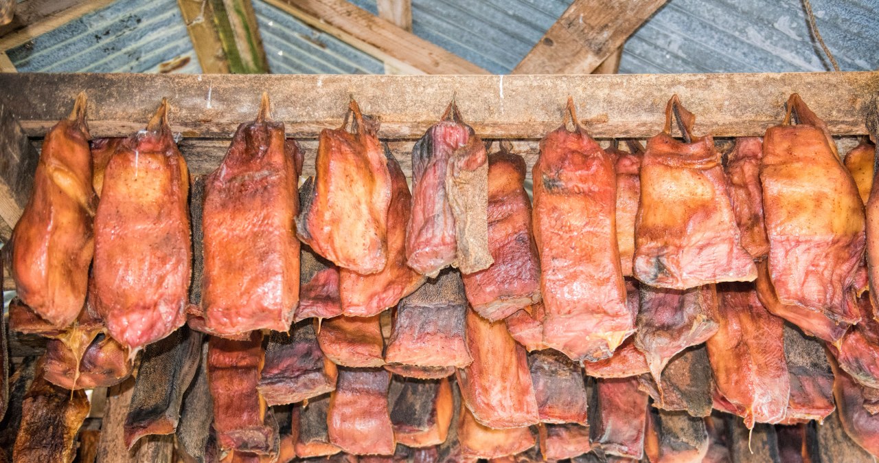 ​Okropnie śmierdzi, ale to skarbnica zdrowia. W Polsce mało kto odważy się spróbować