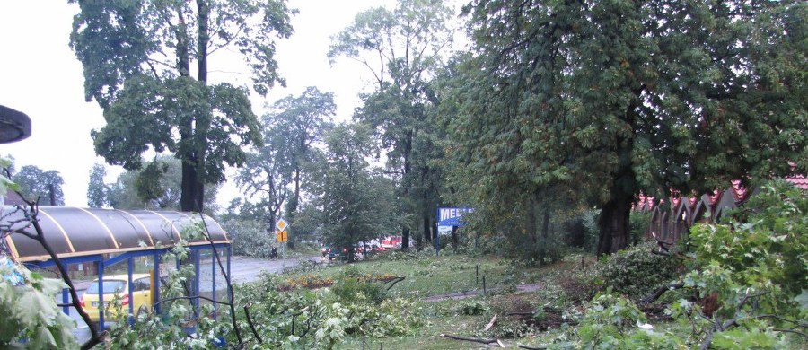 Instytut Meteorologii i Gospodarki Wodnej wydał kolejne ostrzeżenia przed silnym wiatrem. Synoptycy przewidują, że dziś w niektórych miejscach, zwłaszcza nad morzem, prędkość wiatru w porywach może dochodzić do 90 kilometrów na godzinę. 