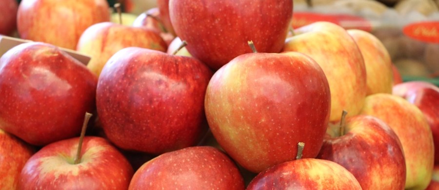 Minister rolnictwa podejrzewa zmowę tłoczni soków w związku z interwencyjnym skupem jabłek. Na razie udało się przyjąć 180 tysięcy ton owoców z planowanych 500-et tysięcy.