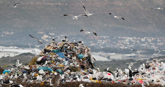 Parlament Europejski poparł w środę wprowadzenie w UE zakazu sprzedaży przedmiotów jednorazowego użytku, takich jak plastikowe sztućce, słomki, talerze czy patyczki do uszu. Obecnie produkty z tworzywa sztucznego stanowią 70 proc. odpadów w morzu.
Zakaz wykorzystywania i sprzedaży plastiku jednorazowego użytku, dla którego dostępne są alternatywy, miałby obowiązywać od 2021 roku. Przegłosowany na sesji plenarnej raport belgijskiej liberalnej europosłanki Frederique Ries wskazuje, że te plastikowe produkty, których nie można w tej chwili zastąpić, będą musiały zostać zredukowane przez państwa członkowskie w "ambitny i trwały sposób" do 2025 r.