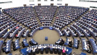 PE chce zakazu działalności grup neofaszystowskich w UE