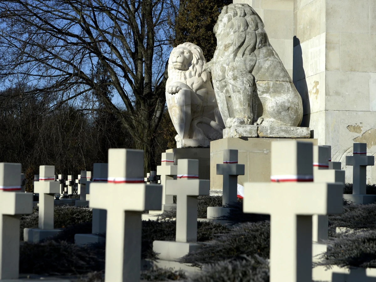 Rada Obwodowa we Lwowie zażądała usunięcia posągów lwów z Cmentarza Orląt Lwowskich, które uznała za „symbol polskiej okupacji Lwowa”. Oświadczenie w tej sprawie Rada przyjęła w czwartek. Uważa, że lwy ustawiono nielegalnie. "Przedstawiliśmy nasz zdecydowany sprzeciw wobec możliwości nielegalnego usunięcia lwów z Cmentarza Orląt" - skomentował tę wiadomość wiceszef MSZ Bartosz Cichocki.