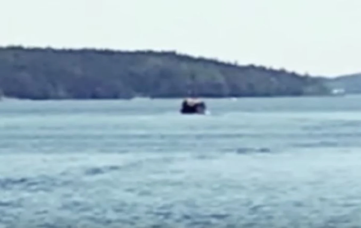 Szwedzki dziennik "Dagens Nyheter" opublikował zdjęcia nieznanego obiektu podwodnego, który został zaobserwowany latem w Archipelagu Sztokholmskim. Według gazety, może chodzić o akcją wywiadowczą obcego państwa, najpewniej Rosji.