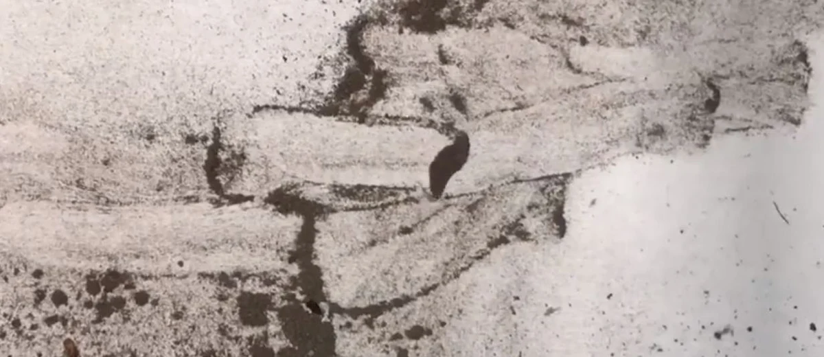 Co znajduje się w smogu? Sprawdzić postanowił to prosto krakowski artysta Tomasz Wełna. Nagrał on film, gdzie przy użyciu magnesu "zbiera" pozostałości po krakowskim smogu. Efekty zaprezentował na jednym z portali społecznościowych. 