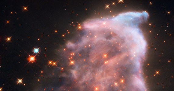Europejska Agencja Kosmiczna (ESA) opublikowała wykonane przez teleskop Hubble'a, niezwykłe zdjęcie mgławicy IC 63, widocznej 550 lat świetlnych od nas w gwiazdozbiorze Kasjopei. Charakterystyczny kształt mgławicy, zwanej nie bez racji Duchem Kasjopei, to skutek działania silnego promieniowanie zmiennej gwiazdy Gamma Cassiopeiae. Gwiazda ta jest centralnym punktem litery W, którą na naszym niebie ten gwiazdozbiór przypomina.