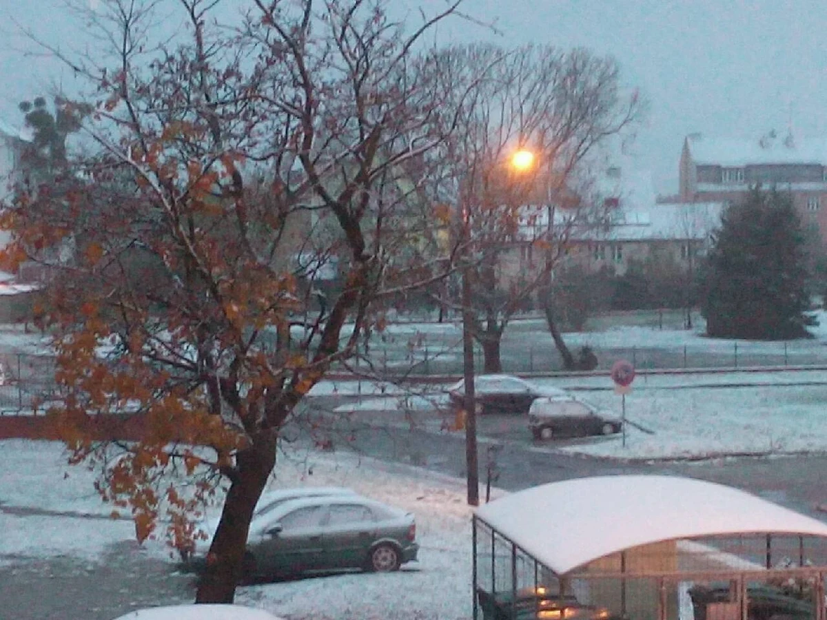 W Olsztynie i kilku innych miastach w woj. warmińsko-mazurskim mieszkańców przywitał o poranku biały puch. Pierwszy tej jesieni śnieg nie utrzymywał się jednak długo, ponieważ termometry wskazywały powyżej zera. Zobaczcie, jakie zdjęcia dostaliśmy od słuchaczy.