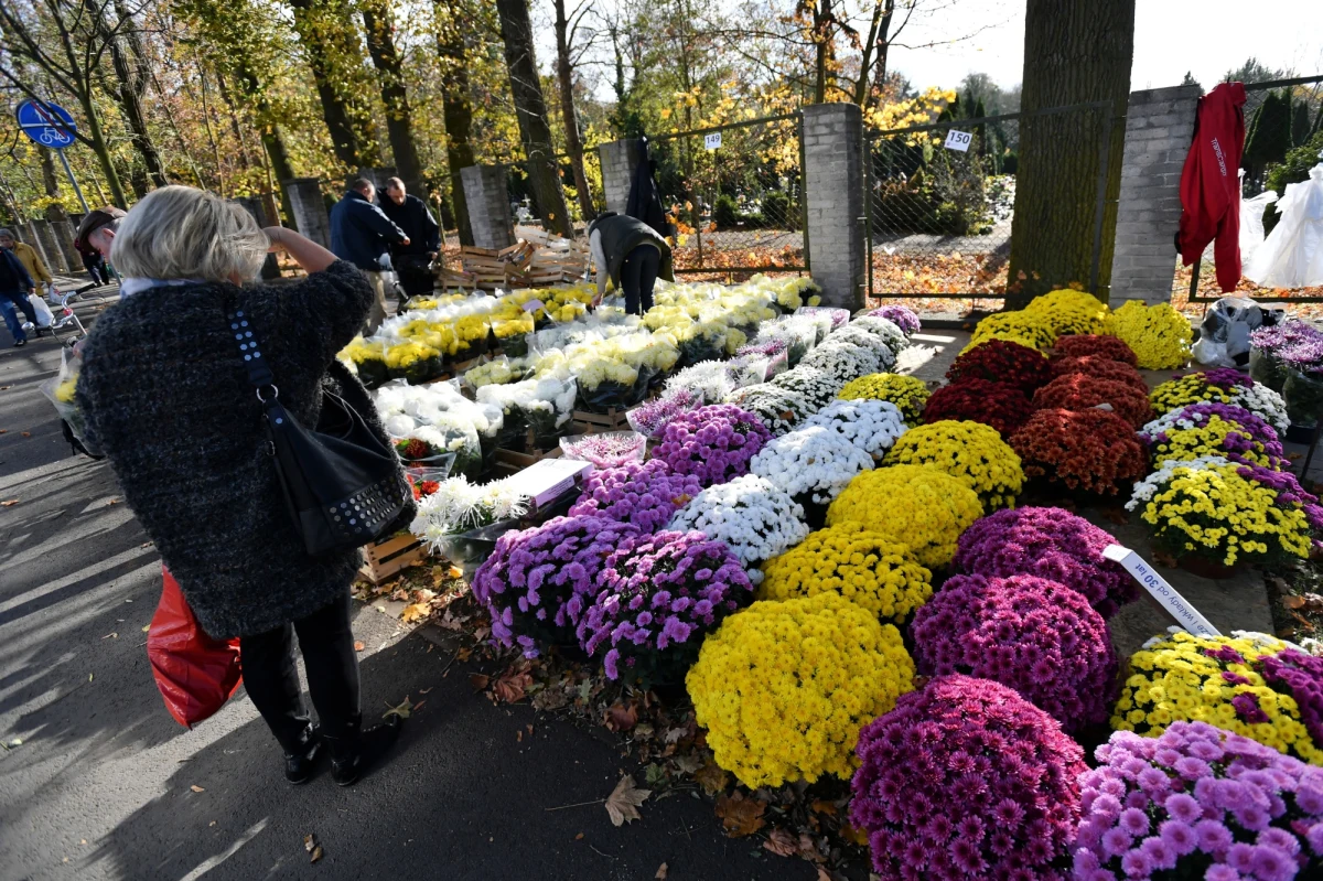 Według meteorologów, dzień Wszystkich Świętych ma być bardzo ciepły z temperaturą do 21 stopni Celsjusza. W kolejnych dniach będzie jednak nieco chłodniej. 