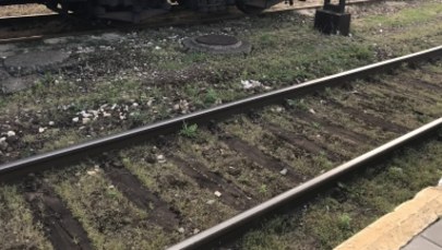 Tragedia na Mazowszu. 38-letni mężczyzna wpadł pod pociąg