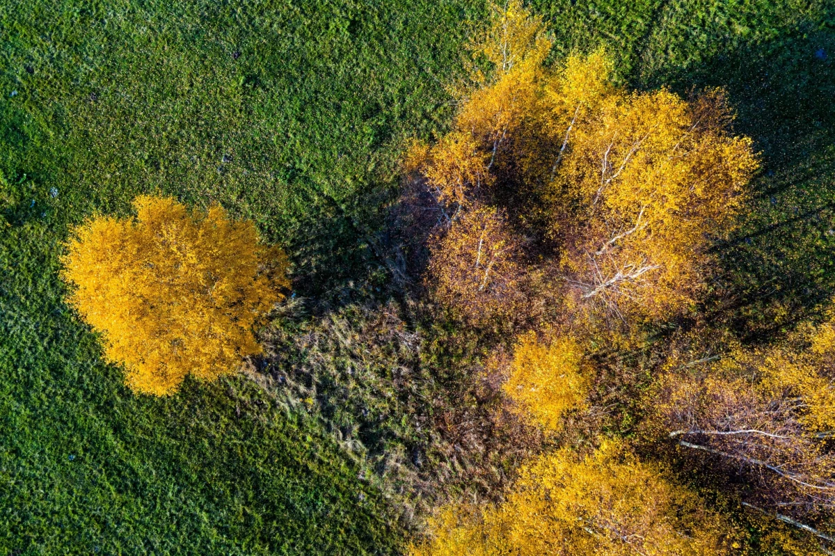 Północna, północno-zachodnia i częściowo południowa Europa jest pod wpływem niżów z frontami atmosferycznymi. Pozostały obszar kontynentu jest pod wpływem układów wysokiego ciśnienia. Polska jest w zasięgu wyżu, którego centrum przesunie się znad Niemiec nad terytorium naszego kraju. Napływać będzie masa powietrza polarnego morskiego.