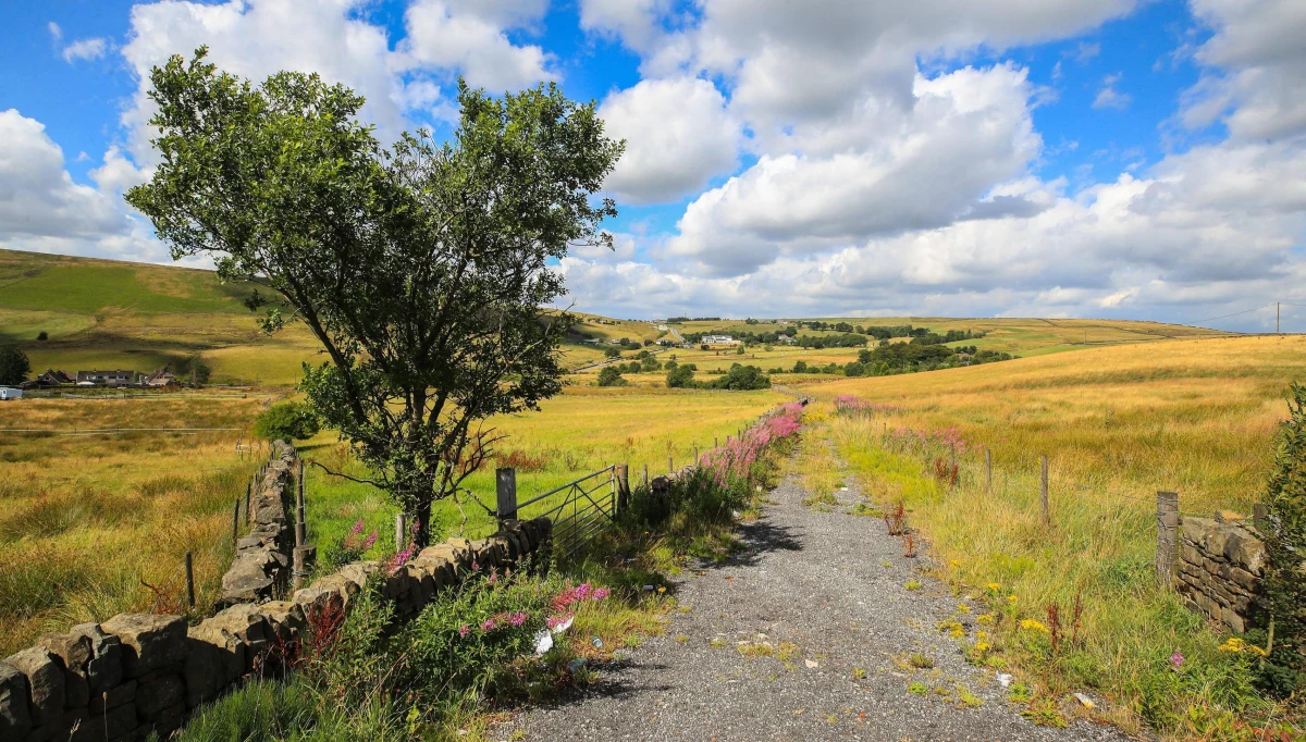 ​Tak ciepłego początku listopada w Polsce nie było nigdy. 3 listopada termometry na Podkarpaciu zanotowały rekordowo wysoką - jak na listopad - temperaturę. Słupki pokazały tam prawie 25 stopni Celsjusza.