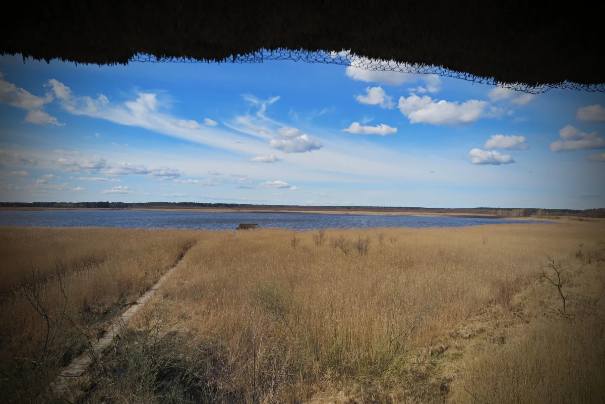 To był fałszywy alarm - tak służby ratownicze mówią o wieczornych poszukiwaniach małego samolotu, który miał spaść do jeziora Sarbsko w okolicy wsi Nowęcin na Pomorzu. Służby zaalarmowali świadkowie. Twierdzili, że widzieli spadającą maszynę. 