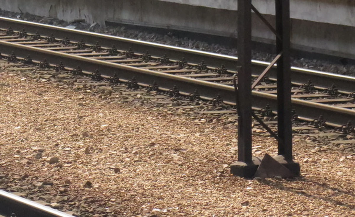 Specjalna komisja zajmie się sprawą wypadku kolejowego w Raciborzu. Wykoleiła się tam część składu przewożącego węgiel. Uszkodzonych jest 9 wagonów. W zdarzeniu nikt nie ucierpiał. 