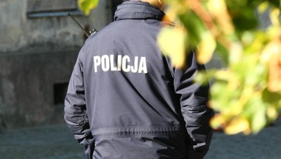 Epidemia "psiej grypy". Co czwarty policjant oddziału prewencji wziął zwolnienie lekarskie