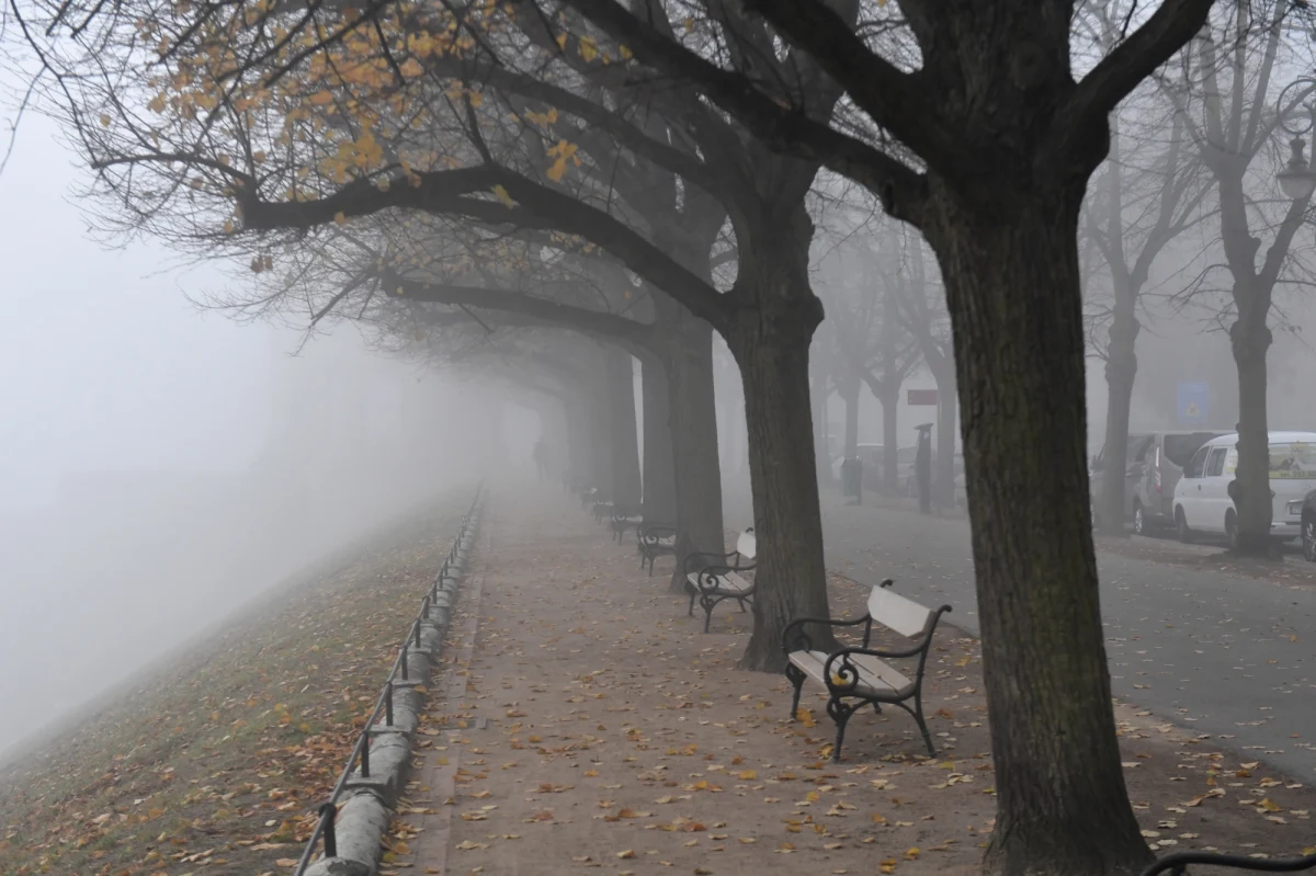 Synoptycy wydał ostrzeżenia pierwszego stopnia przed silną mgłą, która występuje aż w ośmiu województwach.