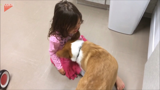 Uroczy widok. Pies, widząc zapłakaną dziewczynkę postanowił ją pocieszyć. 