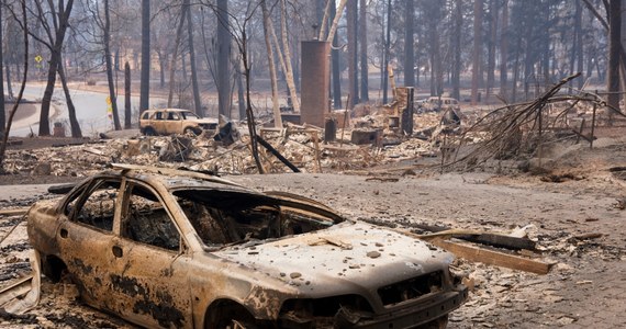 ​Do 31 wzrosła liczba ofiar śmiertelnych pożarów lasów i zarośli w Kalifornii - poinformowała w niedzielę wieczorem czasu lokalnego policja. Władze obawiają się, że ofiar może być znacznie więcej, gdyż blisko 230 osób jest zaginionych.