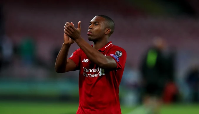 Premier League. Daniel Sturridge oferuje nagrodę za odnalezienie psa
