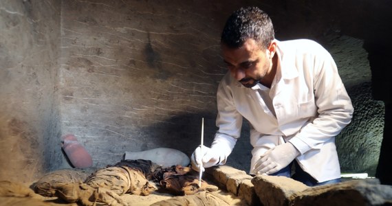 W jednym z grobowców w pobliżu słynnych piramid w Gizie w Egipcie znaleziono mumie kotów i skarabeuszy. W siedmiu sarkofagach znaleziono dziesiątki mumii kotów, drewniane figury przedstawiające zwierzęta oraz rzadką kolekcję skarabeuszy.
