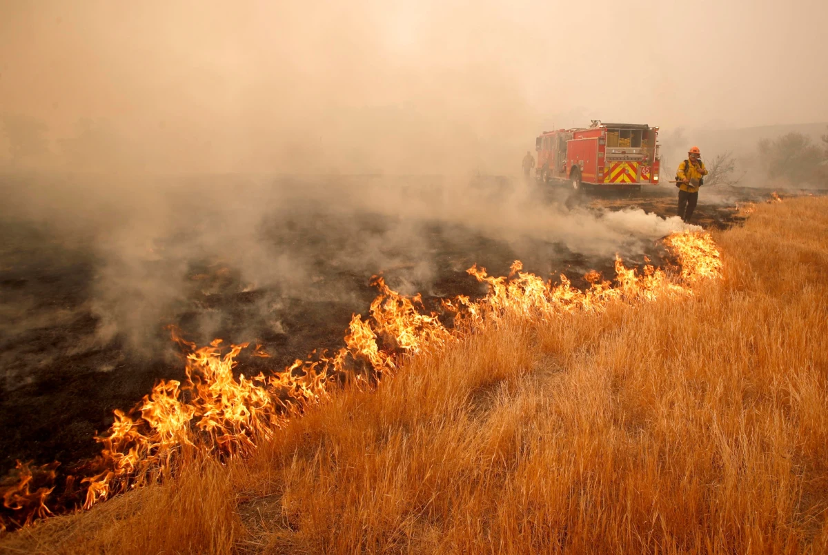 Do 42 wzrosła liczba ofiar śmiertelnych pożarów lasów w Kalifornii - poinformowały lokalne władze. To najbardziej śmiercionośne pożary w historii tego amerykańskiego stanu. Zniszczonych zostało już ponad 7100 budynków.