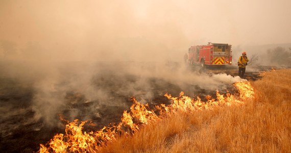 Do 42 wzrosła liczba ofiar śmiertelnych pożarów lasów w Kalifornii - poinformowały lokalne władze. To najbardziej śmiercionośne pożary w historii tego amerykańskiego stanu. Zniszczonych zostało już ponad 7100 budynków.
