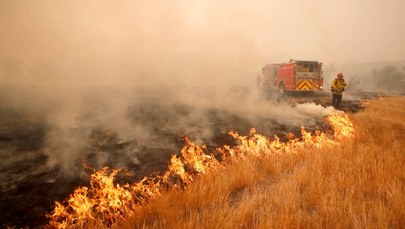 Ogień trawi Kalifornię. Co najmniej 42 zabitych
