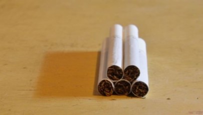Funkcjonariusze KAS przejęli 2,5 tony nielegalnego tytoniu