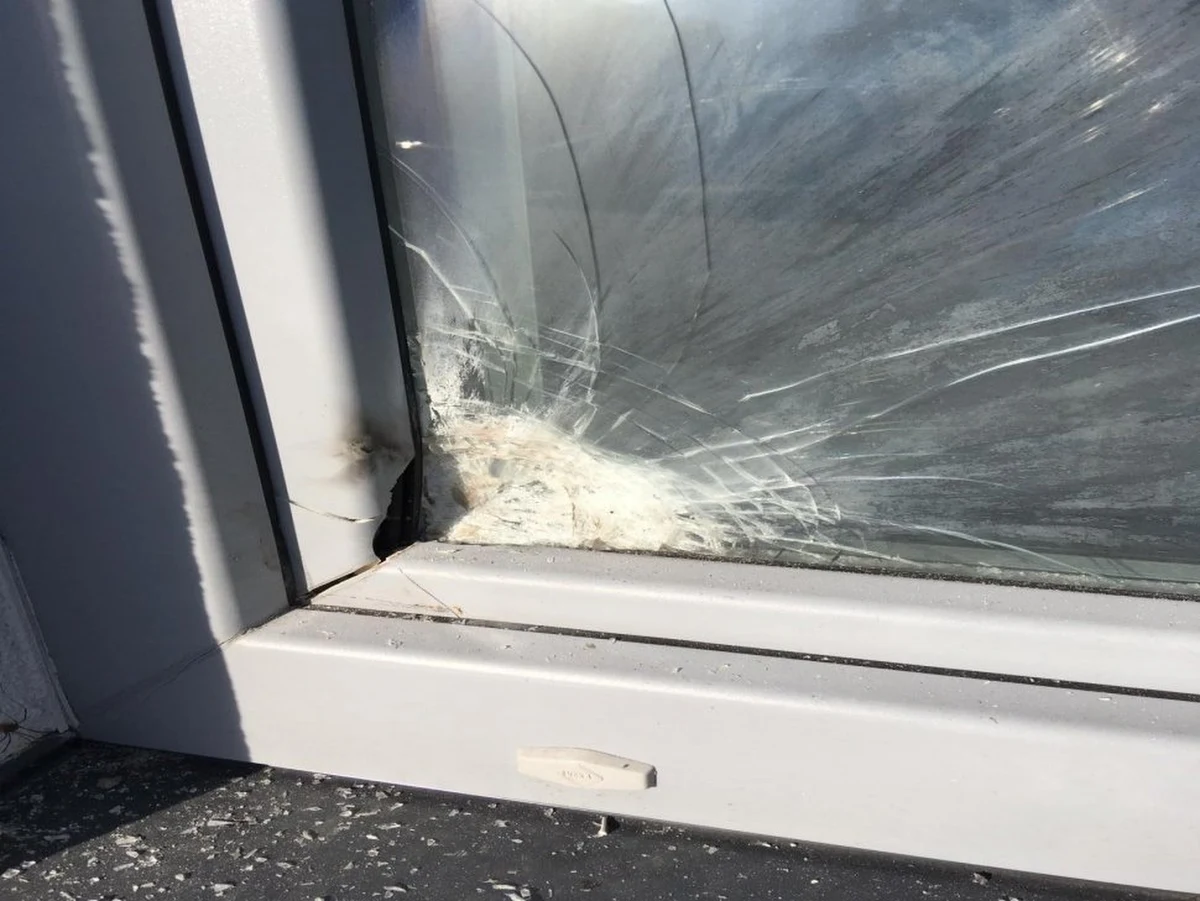 Zatrzymano napastnika, który odpalił petardę przed posterunkiem policji w Kozach w Śląskiem. Zatrzymany ma 14 lat. Za to, co zrobił, stanie teraz przed sądem rodzinnym.