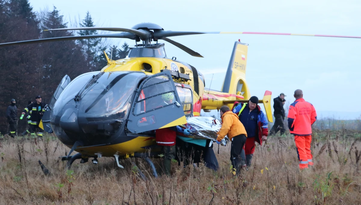 12-letni Daniel Sękowski, który zaginął we wtorek w okolicach wsi Izdebki na Podkarpaciu został odnaleziony. Chłopiec jest w dobrym stanie, odszukał go... grzybiarz. Przez dwa dni z Danielem cały czas był Misiek - rudy kundelek należący do rodziny. "Chłopiec przez dwa dni i dwie noce nie spał, i nie jadł, ciągle chodził wraz z psem i to uratowało go przed wyziębieniem" - mówi Monika Deren z policji powiatowej w Brzozowie. W poszukiwania chłopca było zaangażowanych prawie 1000 osób.

