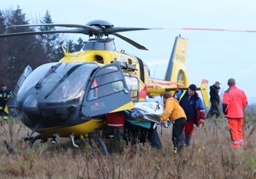 Szczęśliwy finał poszukiwań 12-latka. Cały czas trwał przy nim kundelek Misiek