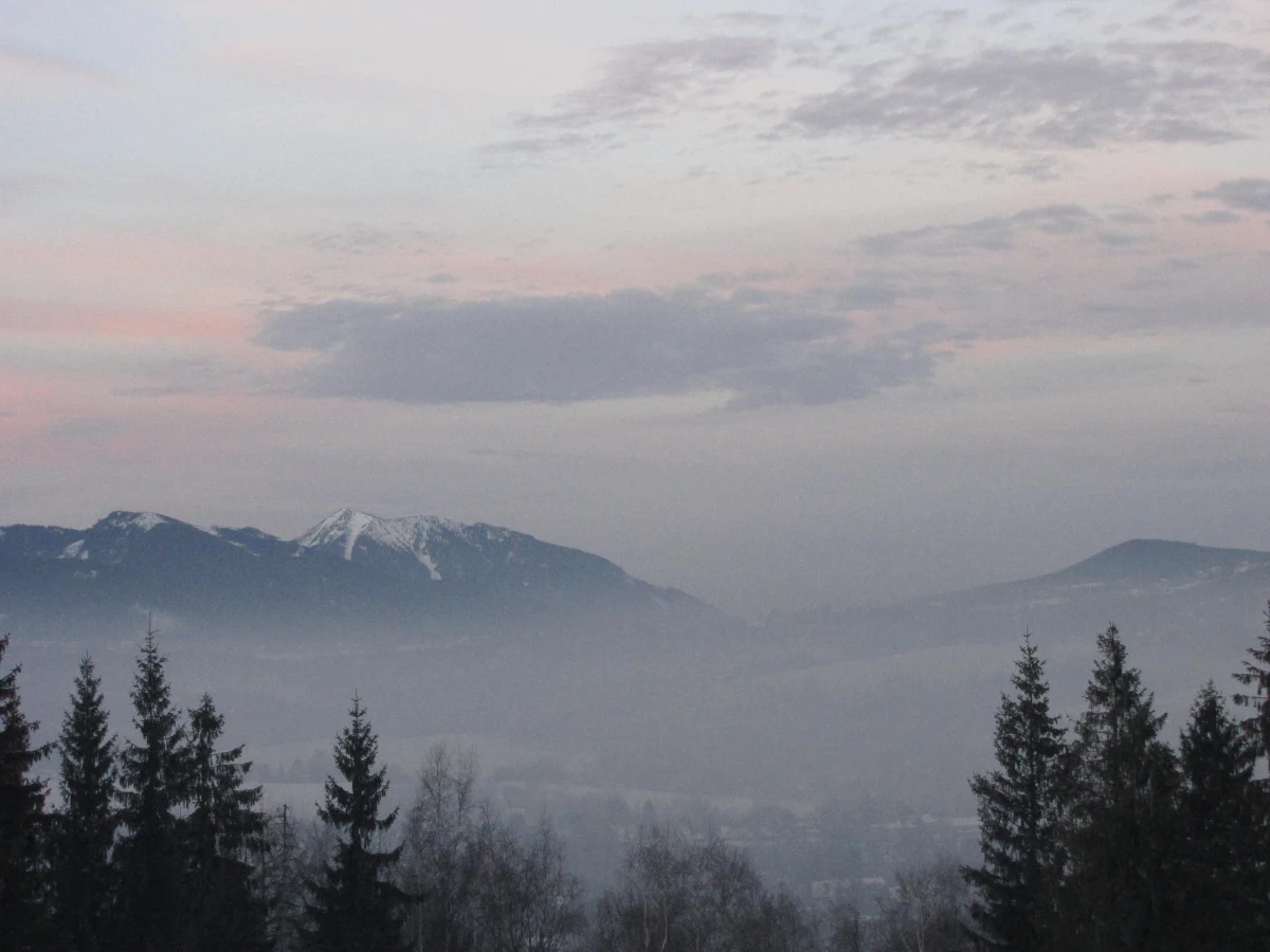 Zakaz spalania śmieci obowiązuje w Polsce od 20 lat. Pozostaje jednak martwym przepisem. Badania Polskiego Alarmu Smogowego pokazują, że w 80 proc. gmin nie ma sprawnych mechanizmów kontroli - informuje piątkowy "Puls Biznesu".
