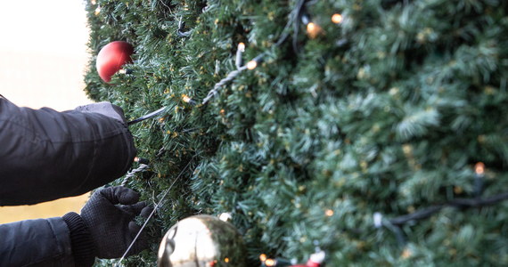 376 tys. euro ma kosztować świąteczna choinka, która zostanie ustawiona na Placu Weneckim w Rzymie - podały włoskie media. Informacja ta wywołała polemikę z powodu wysokości sumy, którą wyłoży sponsor drzewka - wielka platforma filmowa.