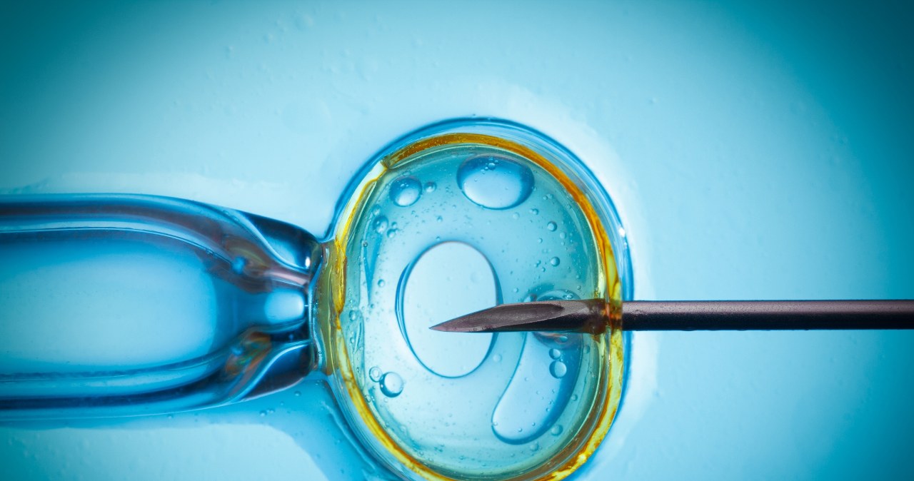 Urodził się z zarodka sprzed 30 lat. To "najstarsze dziecko" świata