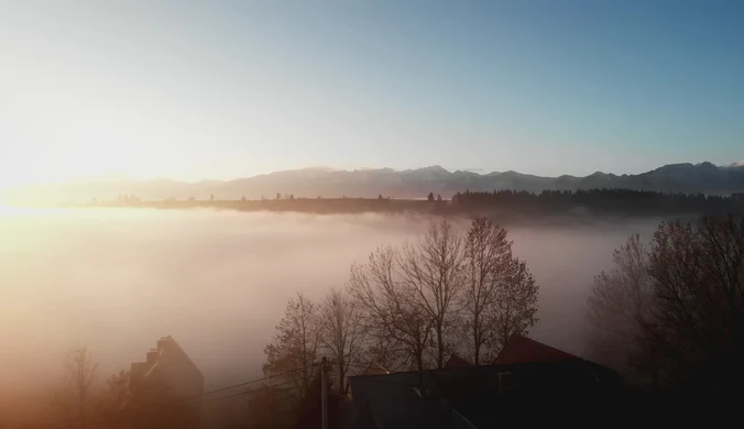 Milka nowym sponsorem polskich skoczków narciarskich. Wideo