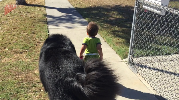 Dziecko wyszło ze swoim kumplem na spacer. I patrząc na psa, dziecku nic nie jest w stanie zagrozić. 