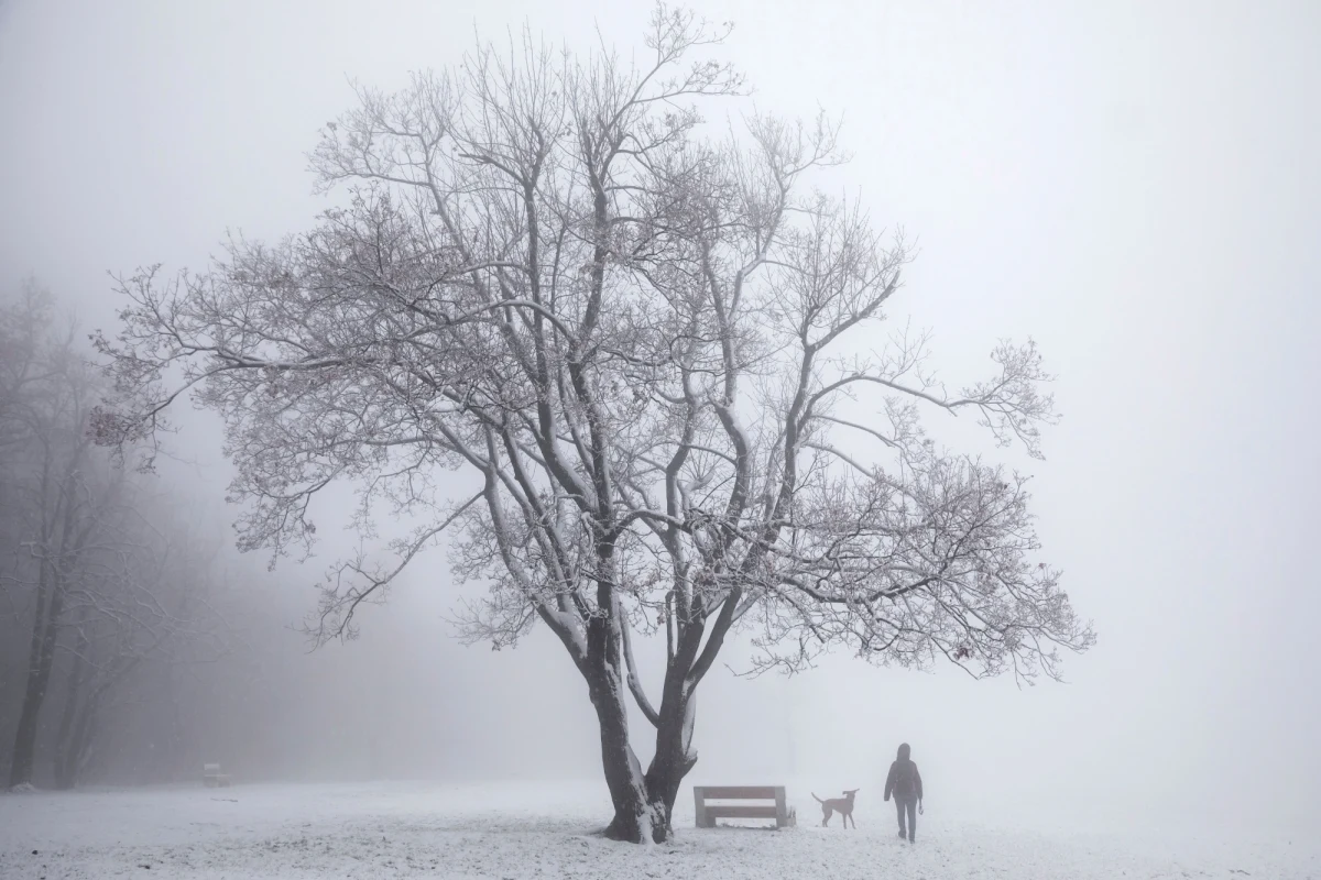 IMGW wydał ostrzeżenia pierwszego stopnia przed opadami marznącymi dla sześciu województw południowej Polski. Opady mogą powodować gołoledź. Zagrożony jest cały południowy pas przygraniczny.