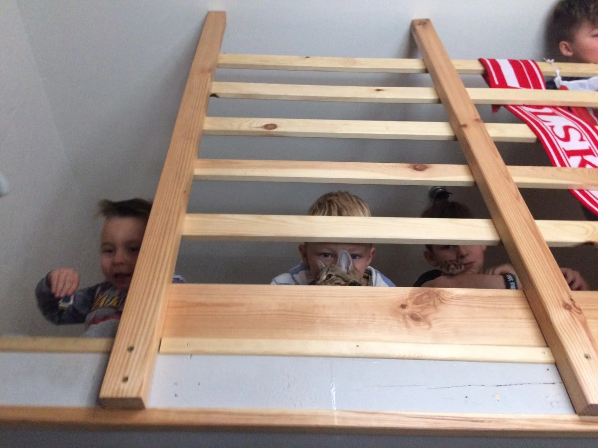 Gdy pani Danuta straciła dach nad głową, sąd uznał, że nie może zajmować się synami i chłopcy trafili do domu dziecka oraz rodziny zastępczej. Miasto Łódź dało jednak mieszkanie, a trzy fundacje zajęły się jego remontem i wyposażeniem. Dziś cała rodzina znów jest razem.