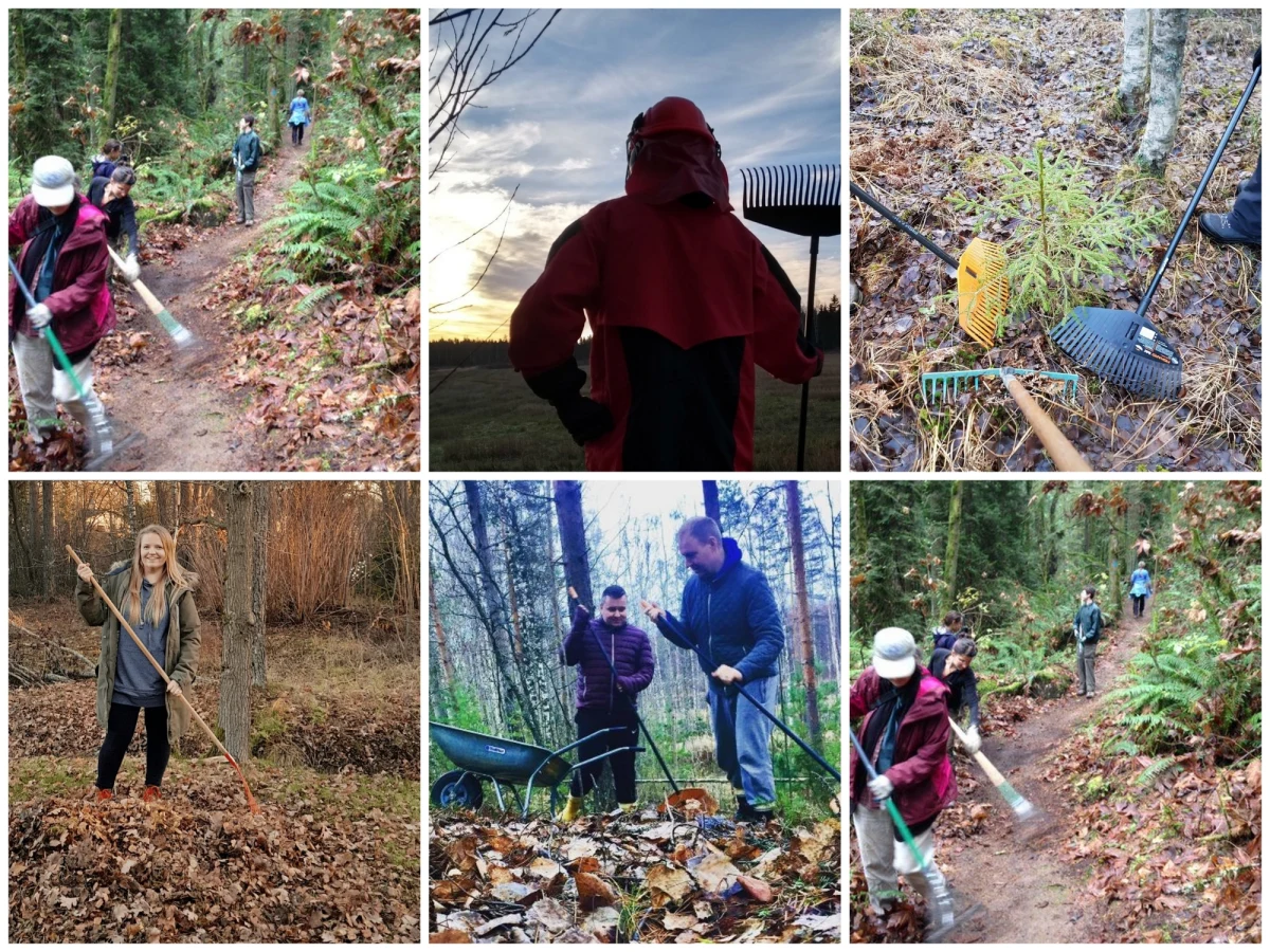 Finowie mają co robić. Kraj ten w 78 proc. pokrywają lasy. Ileż to liści do grabienia? Niezrażeni chwytają za grabie i pędzą sprzątać lasy. A wszystko to za sprawą prezydenta Stanów Zjednoczonych Donalda Trump, który podał mieszkańców Finlandii za przykład godny naśladowania.   