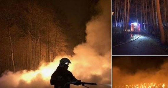 Na 3 miliony złotych - wstępnie - wyceniono straty po nocnym pożarze w Trzebieży koło Polic w Zachodniopomorskiem. Ogień zniszczył spacerową promenadę nad Zalewem Szczecińskim. 


