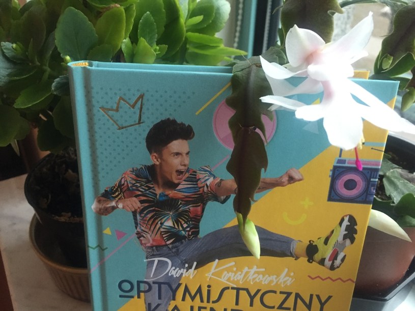 /materiały promocyjne