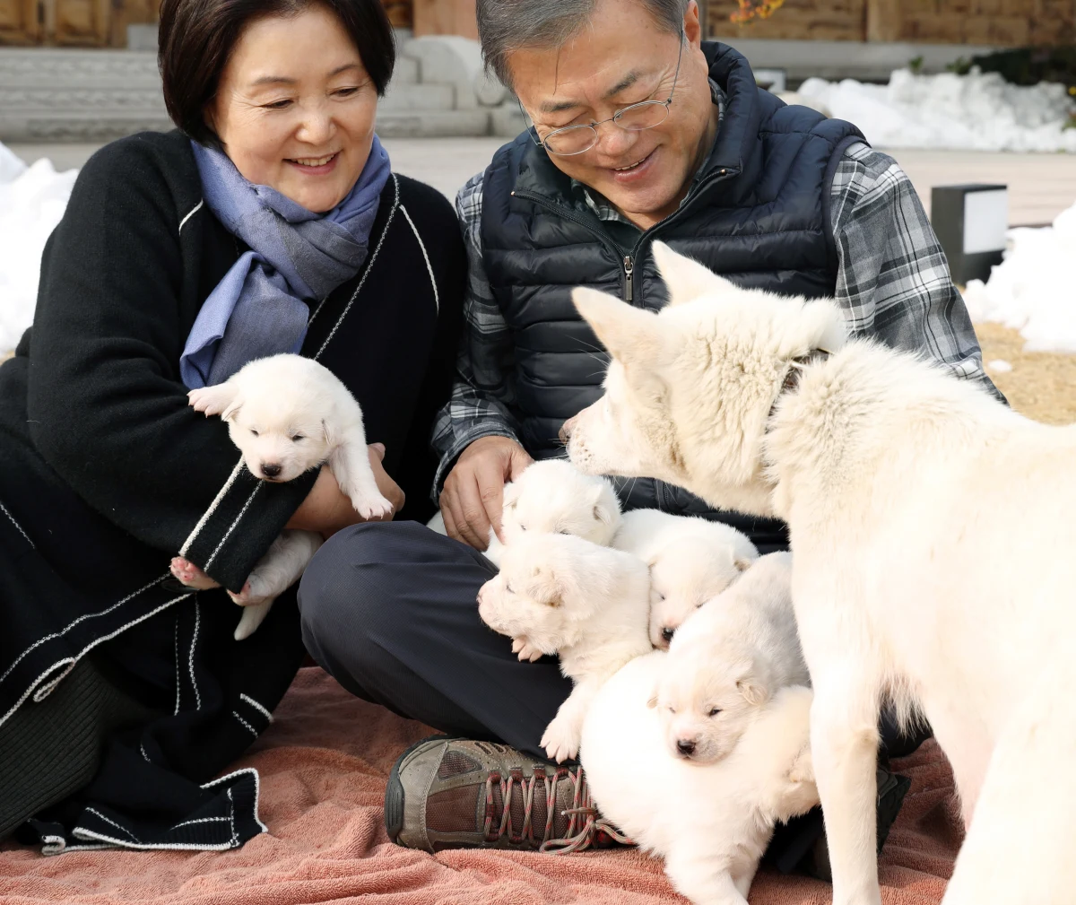 Kancelaria prezydenta Korei Południowej Mun Dze Ina opublikowała zdjęcia pierwszej pary z sześciorgiem szczeniąt rasy pungsan oraz ich matką – suką Gomi, którą Mun otrzymał we wrześniu w prezencie od przywódcy Korei Północnej Kim Dzong Una.