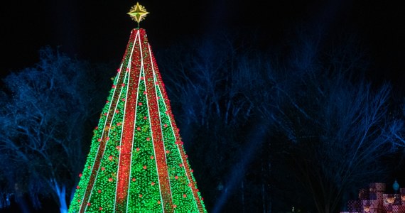 W USA oficjalnie rozpoczął się sezon bożonarodzeniowy. Ostatniej nocy zapalono lampki na dwóch najważniejszych choinkach. 
