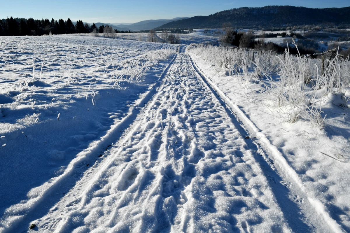 Jak informuje IMGW, Polska jest w zasięgu zatoki niskiego ciśnienia związanej z niżem znad Morza Norweskiego, w strefie przemieszczającego się z zachodu na wschód kraju frontu atmosferycznego. W mroźnej, arktycznej masie powietrza pozostanie wschodnia część kraju, natomiast nad pozostały obszar będzie napływać polarna, morska masa powietrza.