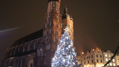 Kraków: Lampki rozbłysły na najpiękniejszej choince w mieście!